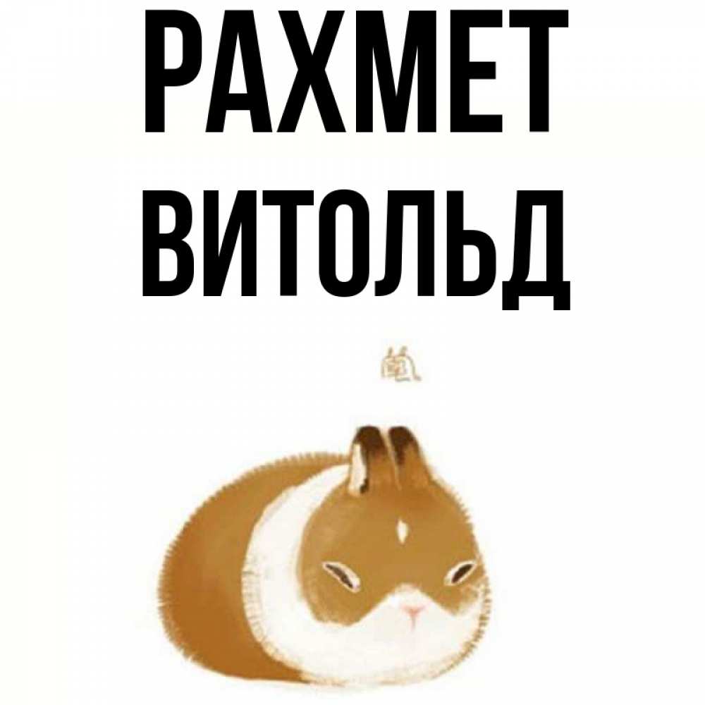 Күн сайын ашық хат с именем, Витольд рахмет коричнево белый домашний питомец Онлайн тегін жүктеп алу тілектері бар керемет карта 
