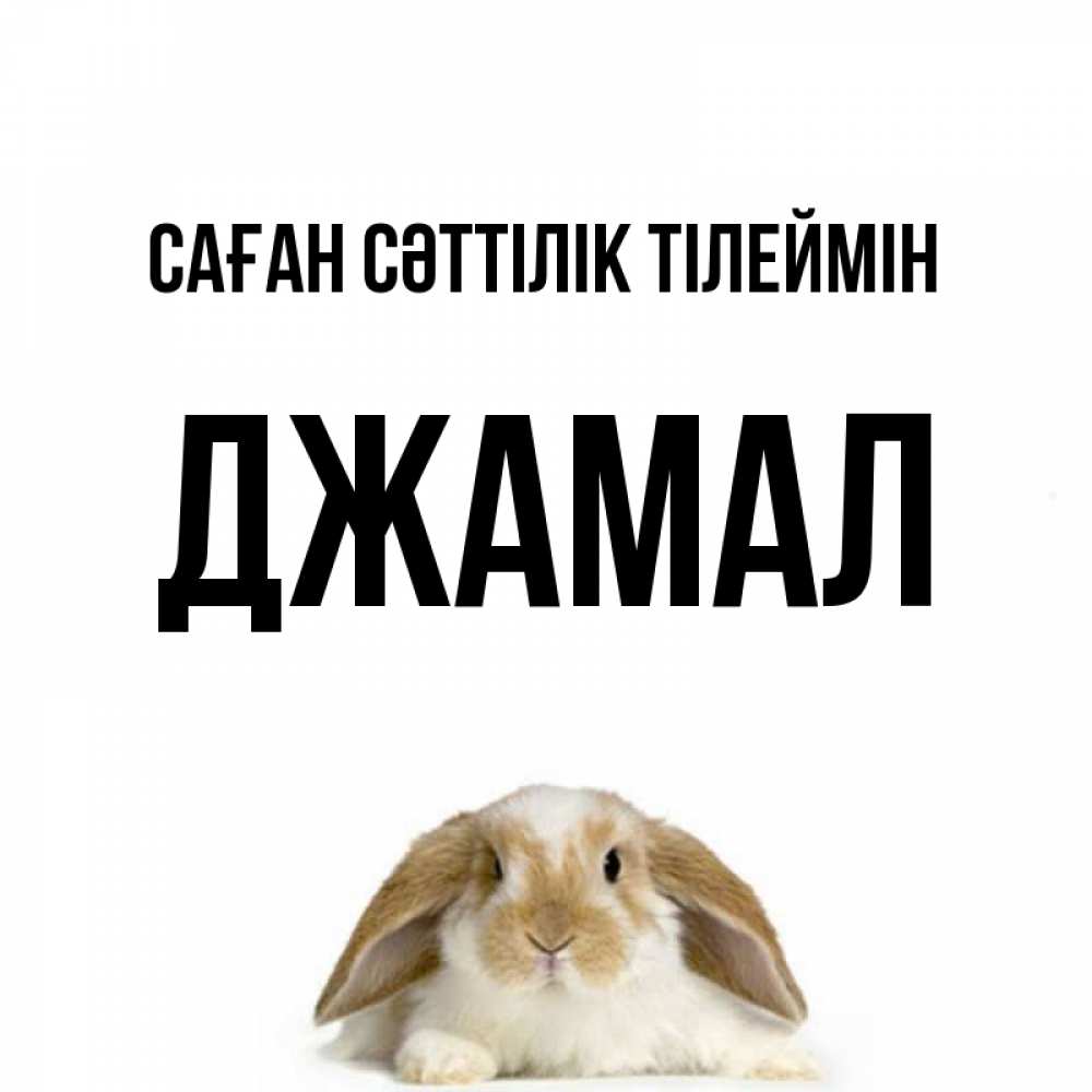 Күн сайын ашық хат с именем, Джамал Саған сәттілік тілеймін открытки с произвольным текстом который можно вставить в открытку и создать ее самостоятельно бесплатно онлайн Онлайн тегін жүктеп алу тілектері бар керемет карта 