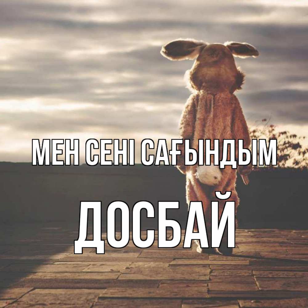 Күн сайын ашық хат с именем, Досбай Мен сені сағындым даже в костюме зайца Онлайн тегін жүктеп алу тілектері бар керемет карта 