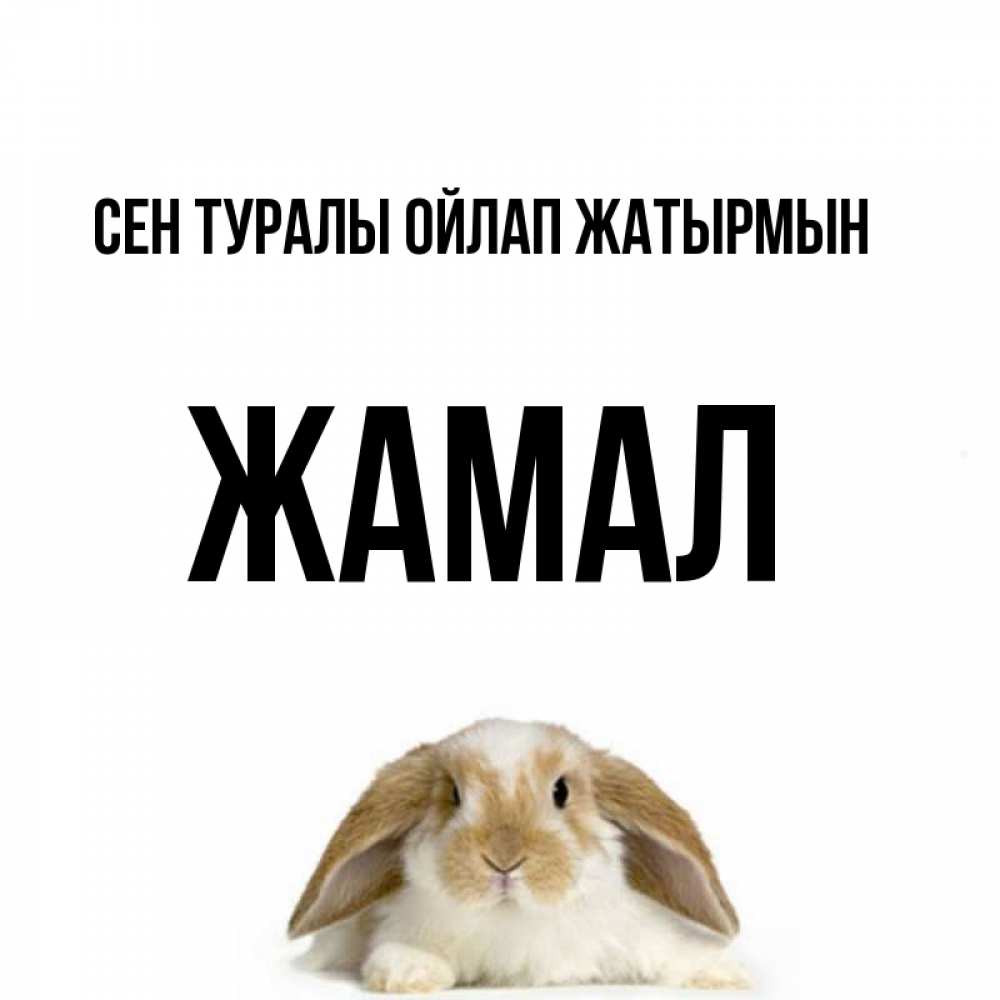 Күн сайын ашық хат с именем, ЖАМАЛ Сен туралы ойлап жатырмын подписать своими руками онлайн Онлайн тегін жүктеп алу тілектері бар керемет карта 