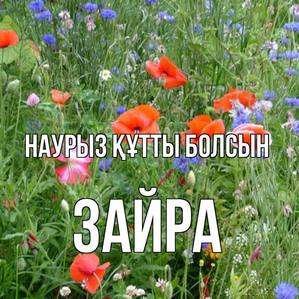 Күн сайын ашық хат с именем, ЗАЙРА Наурыз құтты болсын наурыз  4 Онлайн тегін жүктеп алу тілектері бар керемет карта 