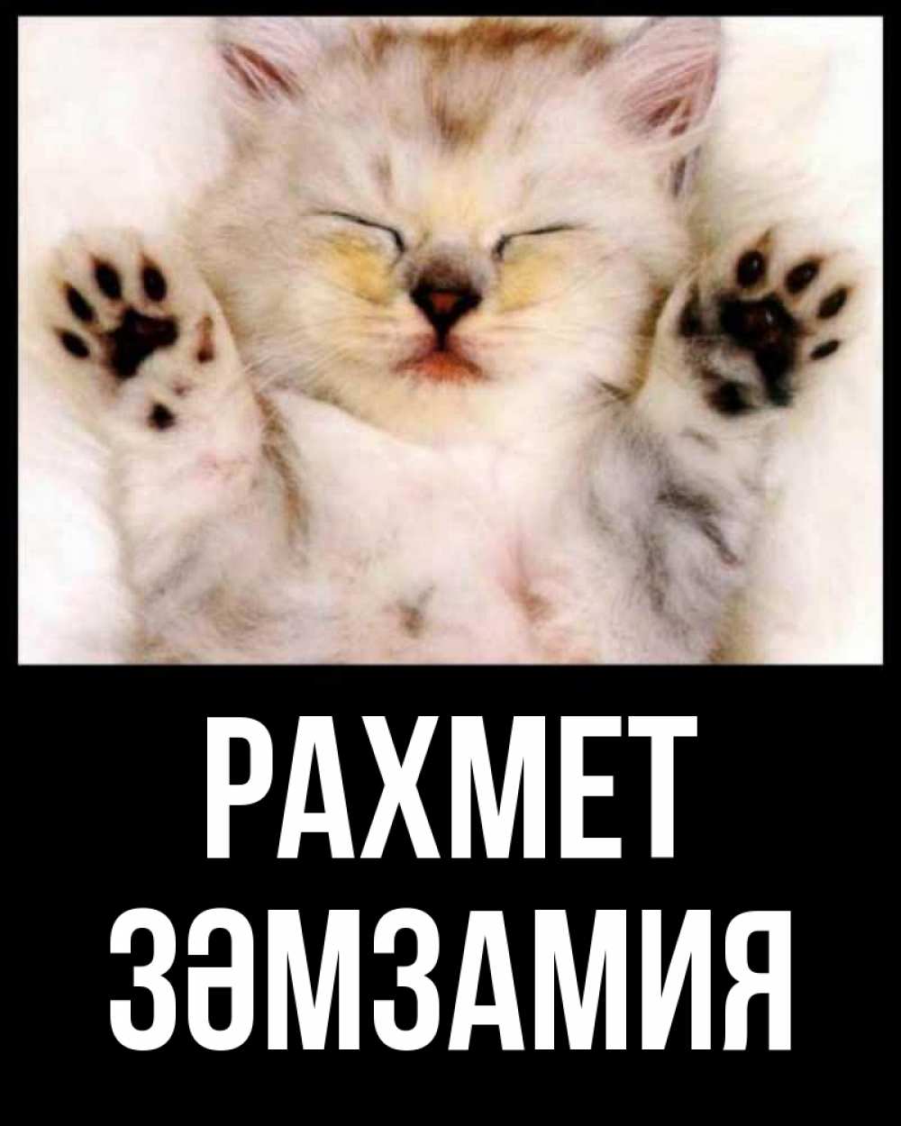 Күн сайын ашық хат с именем, ЗӘМЗАМИЯ рахмет маленький котенок Онлайн тегін жүктеп алу тілектері бар керемет карта 