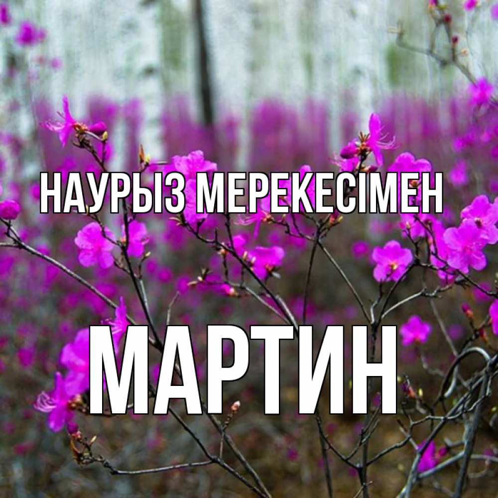 Күн сайын ашық хат с именем, Мартин Наурыз мерекесімен дикие цветы Онлайн тегін жүктеп алу тілектері бар керемет карта 