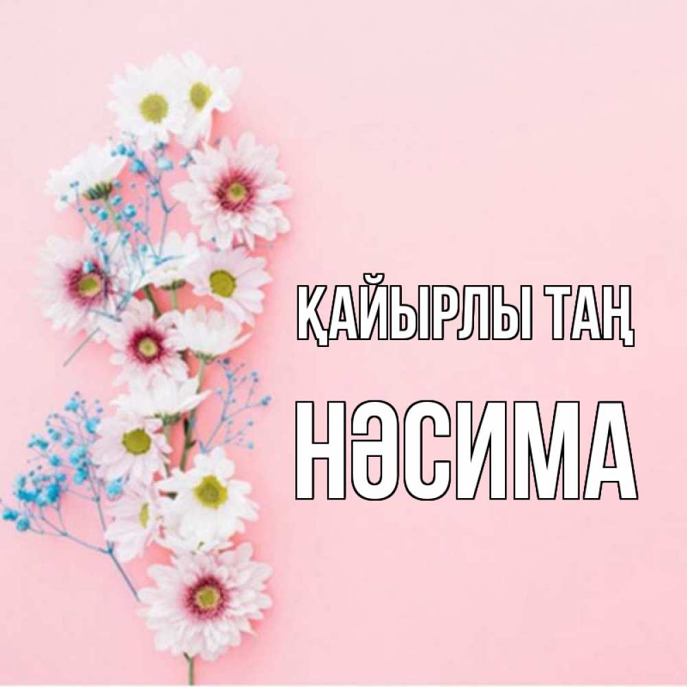 Күн сайын ашық хат с именем, НӘСИМА Қайырлы таң цветы с подписью Онлайн тегін жүктеп алу тілектері бар керемет карта 