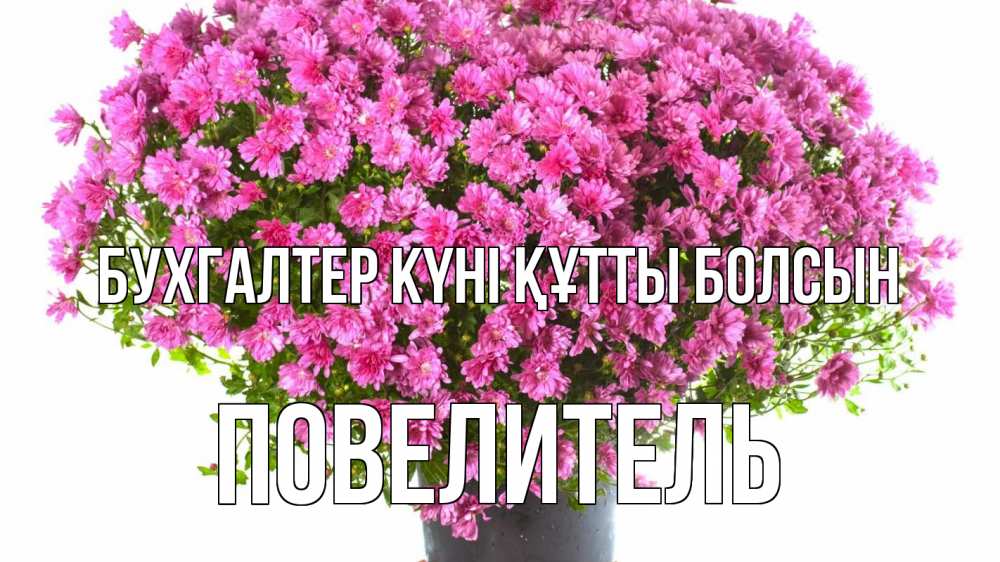 Күн сайын ашық хат с именем, Повелитель бухгалтер күні құтты болсын с днем бухгалтера Онлайн тегін жүктеп алу тілектері бар керемет карта 