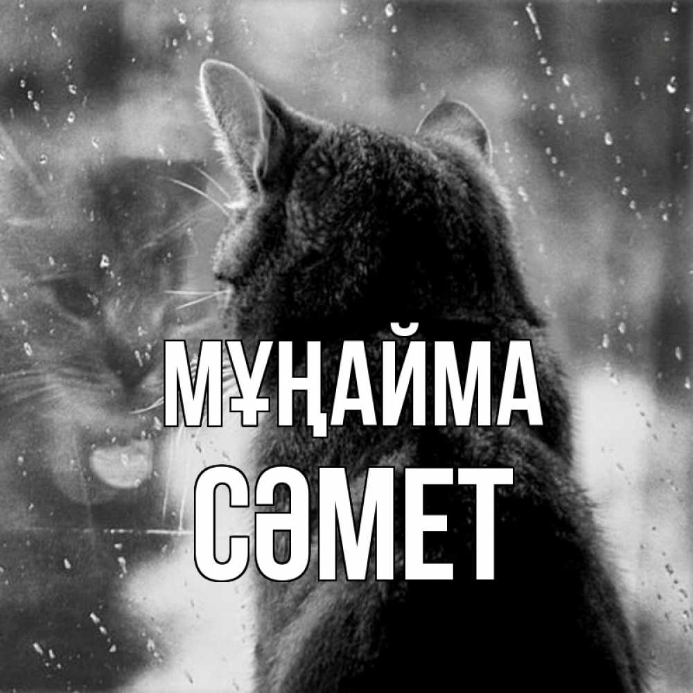 Күн сайын ашық хат с именем, СӘМЕТ Мұңайма отражение кота 1 Онлайн тегін жүктеп алу тілектері бар керемет карта 