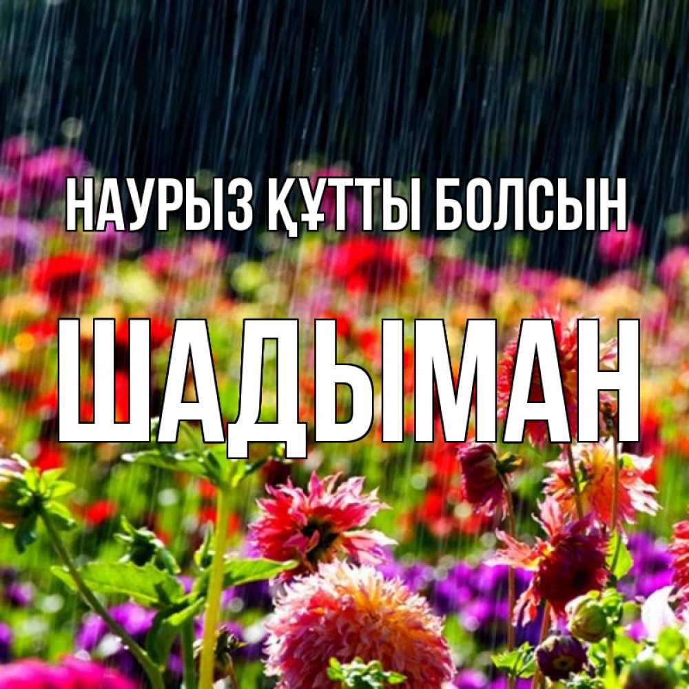 Күн сайын ашық хат с именем, ШАДЫМАН Наурыз құтты болсын цветы под дождиком к наурызу Онлайн тегін жүктеп алу тілектері бар керемет карта 