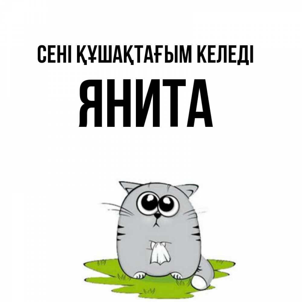 Күн сайын ашық хат с именем, Янита сені құшақтағым келеді котик теребит платочек сидя на травке Онлайн тегін жүктеп алу тілектері бар керемет карта 