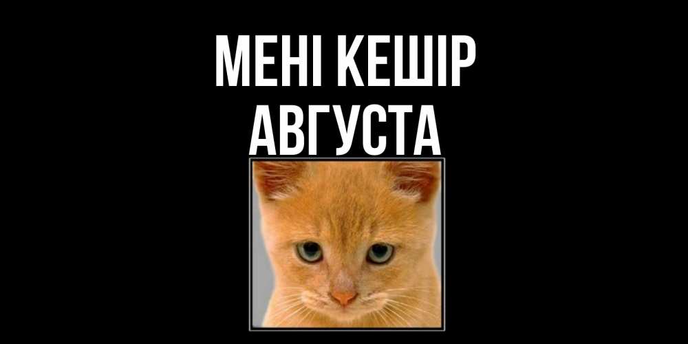 Күн сайын ашық хат с именем, Августа Мені кешір рыжий грустный кот просит прощения Онлайн тегін жүктеп алу тілектері бар керемет карта 