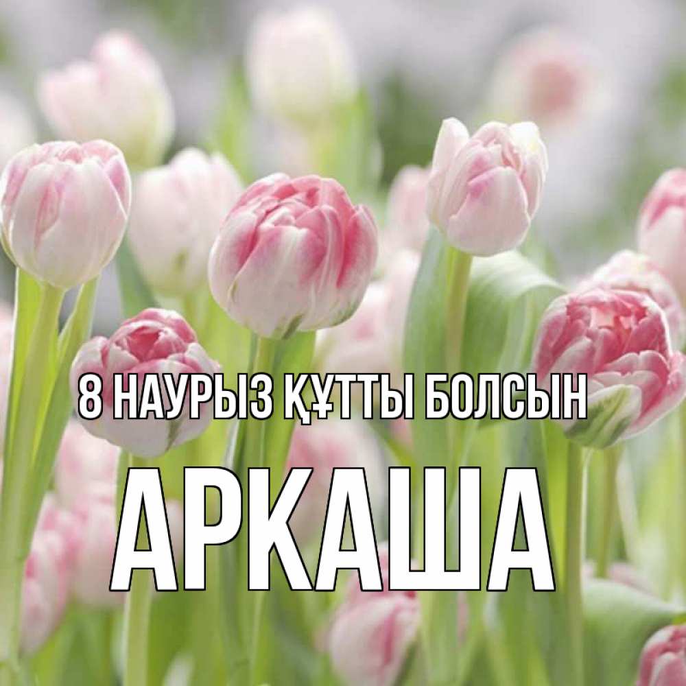 Күн сайын ашық хат с именем, Аркаша 8 наурыз құтты болсын цветы Онлайн тегін жүктеп алу тілектері бар керемет карта 