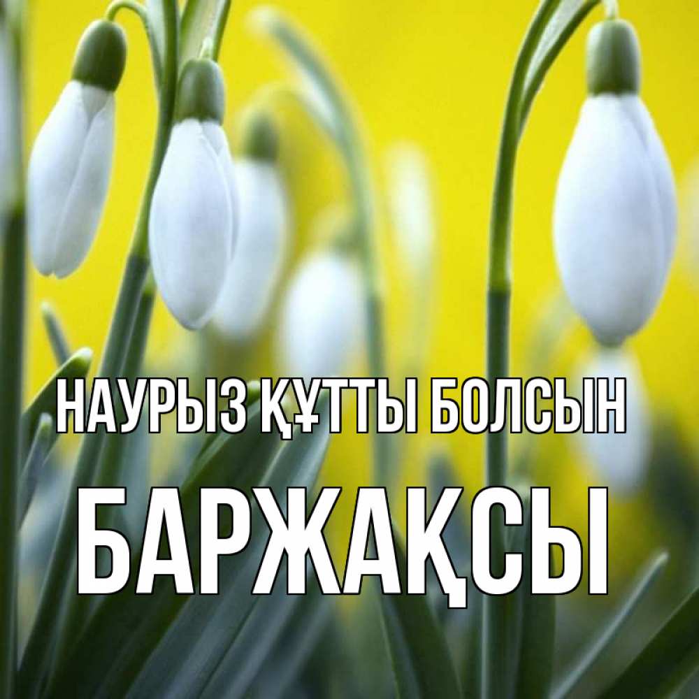 Күн сайын ашық хат с именем, Баржақсы Наурыз құтты болсын весенние цветы Онлайн тегін жүктеп алу тілектері бар керемет карта 