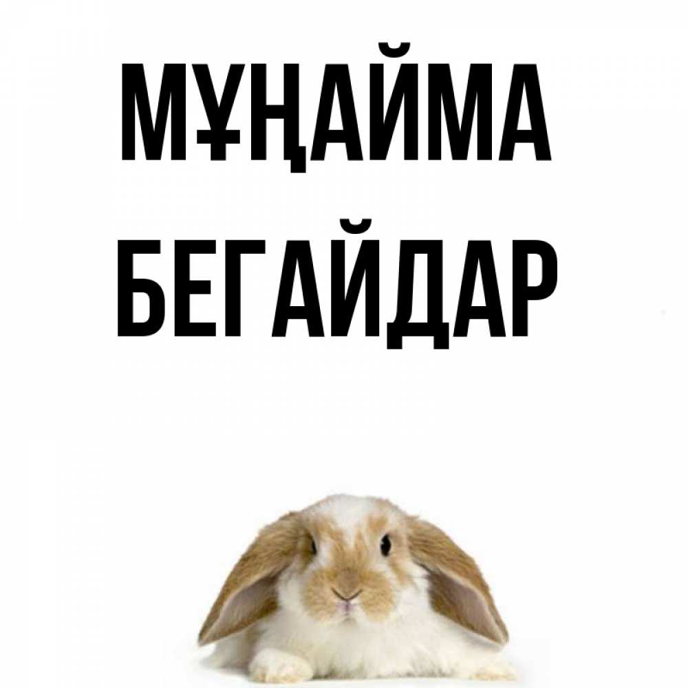 Күн сайын ашық хат с именем, Бегайдар Мұңайма коричнево белый заяц с большими ушками Онлайн тегін жүктеп алу тілектері бар керемет карта 