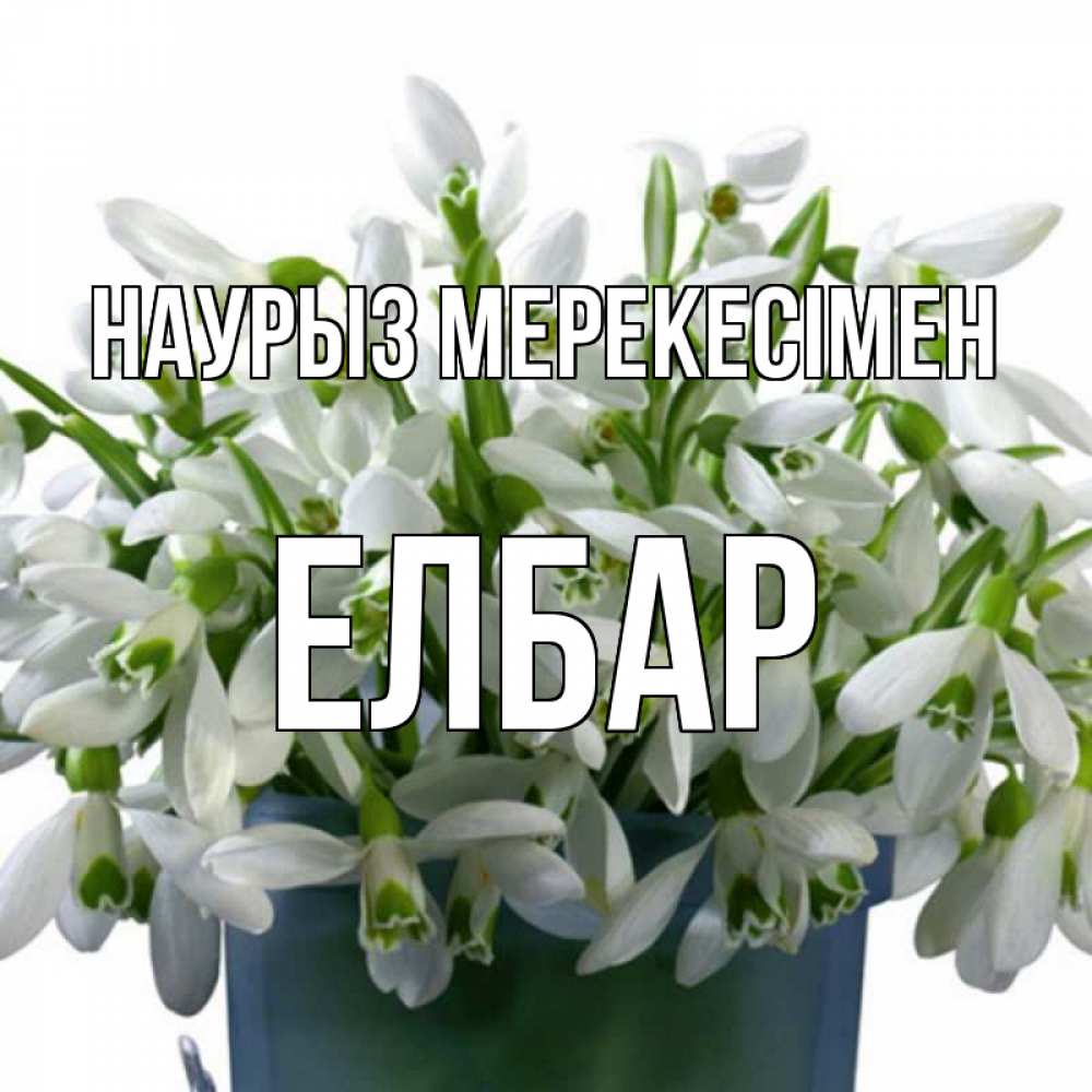 Күн сайын ашық хат с именем, Елбар Наурыз мерекесімен цветы к наурызу новый год в Казахстане Онлайн тегін жүктеп алу тілектері бар керемет карта 