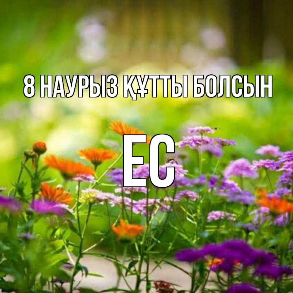 Күн сайын ашық хат с именем, Ес 8 наурыз құтты болсын цветы Онлайн тегін жүктеп алу тілектері бар керемет карта 