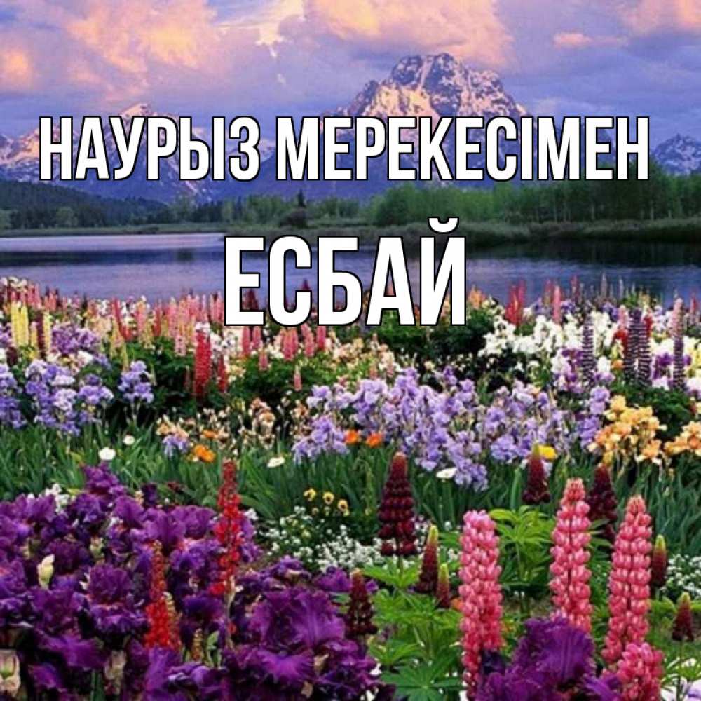 Күн сайын ашық хат с именем, Есбай Наурыз мерекесімен праздник весны наурыз Онлайн тегін жүктеп алу тілектері бар керемет карта 