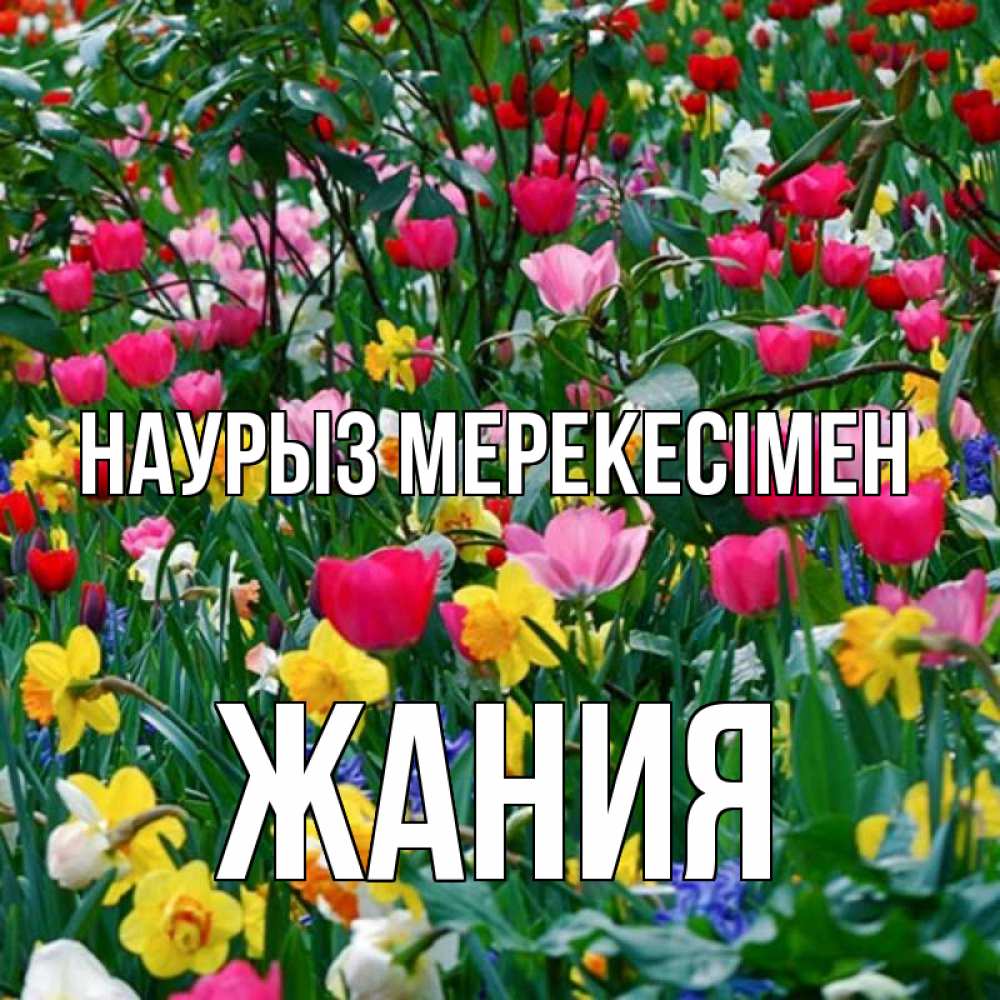 Күн сайын ашық хат с именем, ЖАНИЯ Наурыз мерекесімен с наурызом праздником весны поздравления для женщины Онлайн тегін жүктеп алу тілектері бар керемет карта 