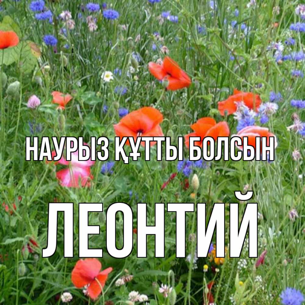 Күн сайын ашық хат с именем, Леонтий Наурыз құтты болсын наурыз  4 Онлайн тегін жүктеп алу тілектері бар керемет карта 