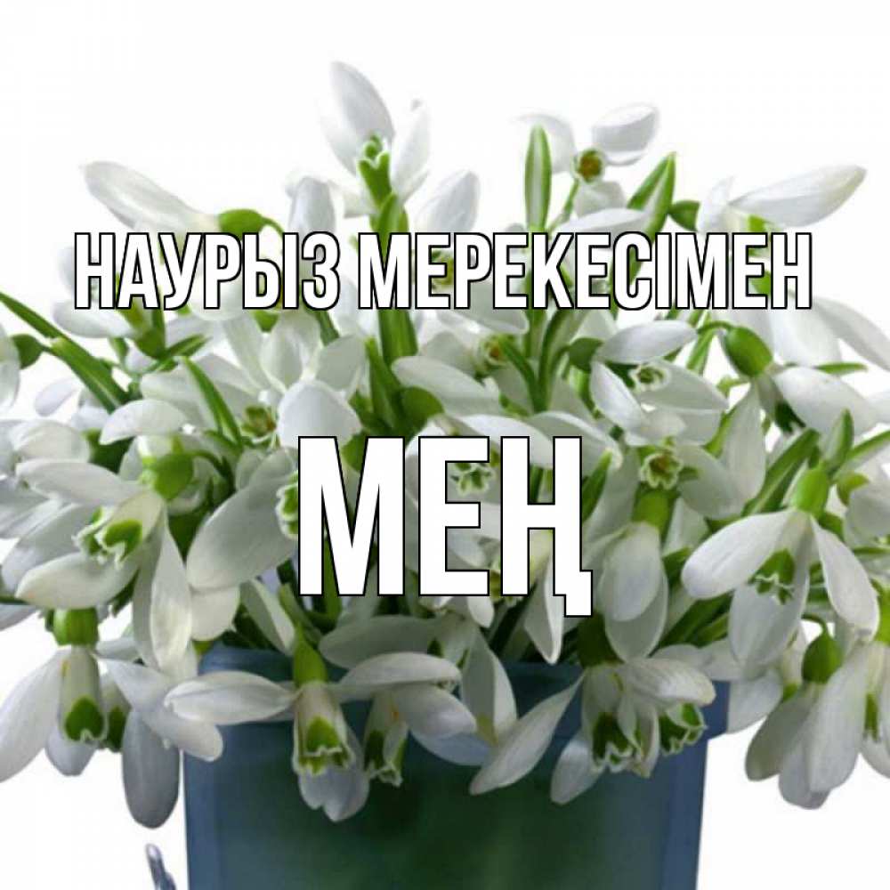 Күн сайын ашық хат с именем, МЕҢ Наурыз мерекесімен цветы к наурызу новый год в Казахстане Онлайн тегін жүктеп алу тілектері бар керемет карта 