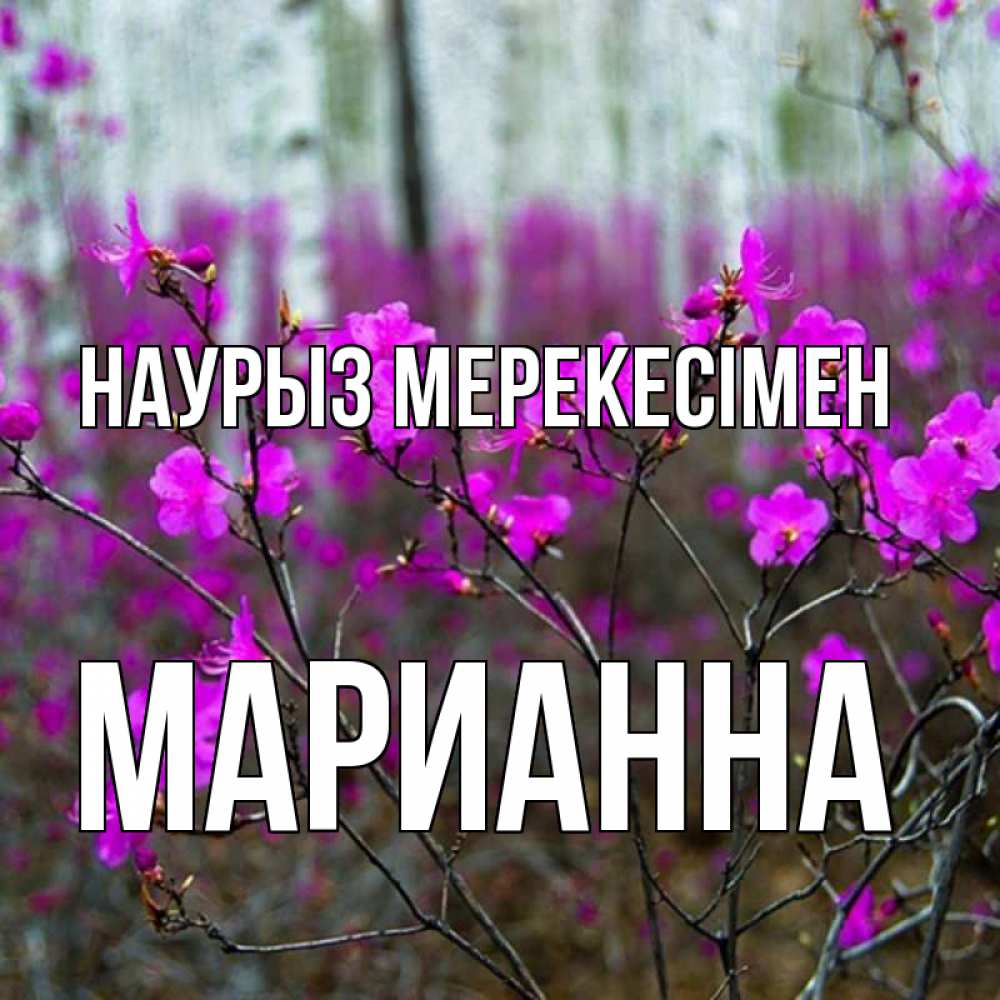 Күн сайын ашық хат с именем, Марианна Наурыз мерекесімен дикие цветы Онлайн тегін жүктеп алу тілектері бар керемет карта 