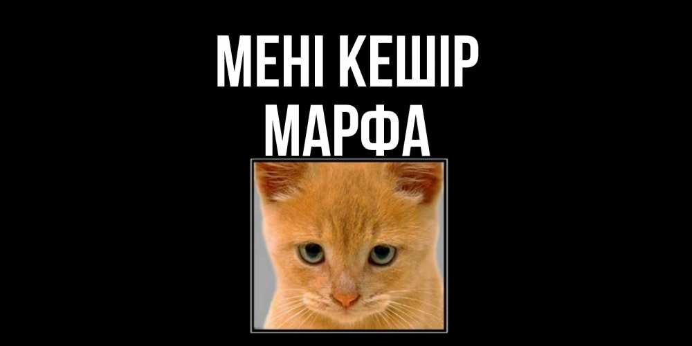 Күн сайын ашық хат с именем, Марфа Мені кешір рыжий грустный кот просит прощения Онлайн тегін жүктеп алу тілектері бар керемет карта 