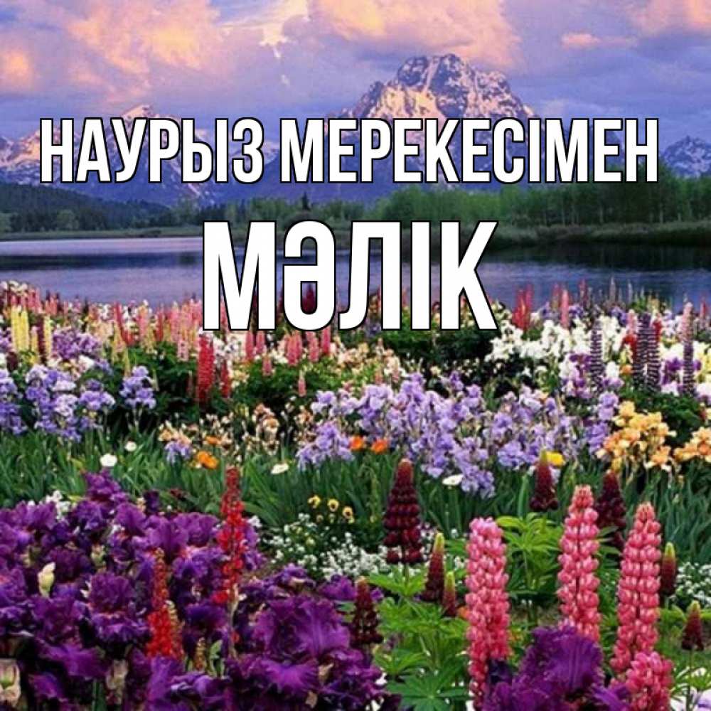 Күн сайын ашық хат с именем, МӘЛІК Наурыз мерекесімен праздник весны наурыз Онлайн тегін жүктеп алу тілектері бар керемет карта 