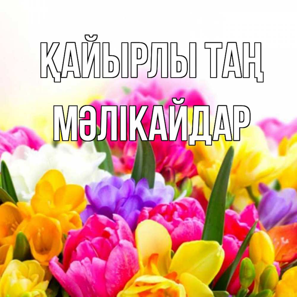Күн сайын ашық хат с именем, МӘЛІКАЙДАР Қайырлы таң создать открытку со свое подписью Онлайн тегін жүктеп алу тілектері бар керемет карта 