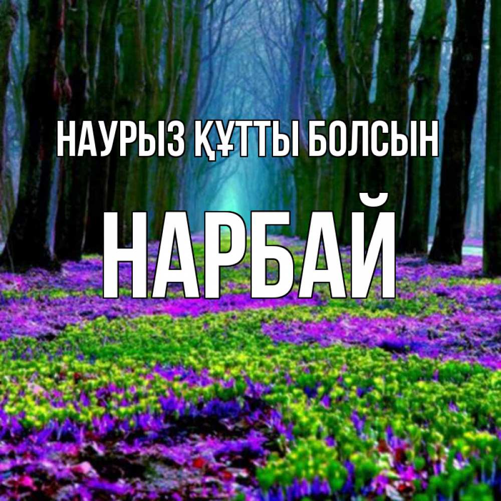 Күн сайын ашық хат с именем, НАРБАЙ Наурыз құтты болсын фиолетовые цветы в лесу 1 Онлайн тегін жүктеп алу тілектері бар керемет карта 