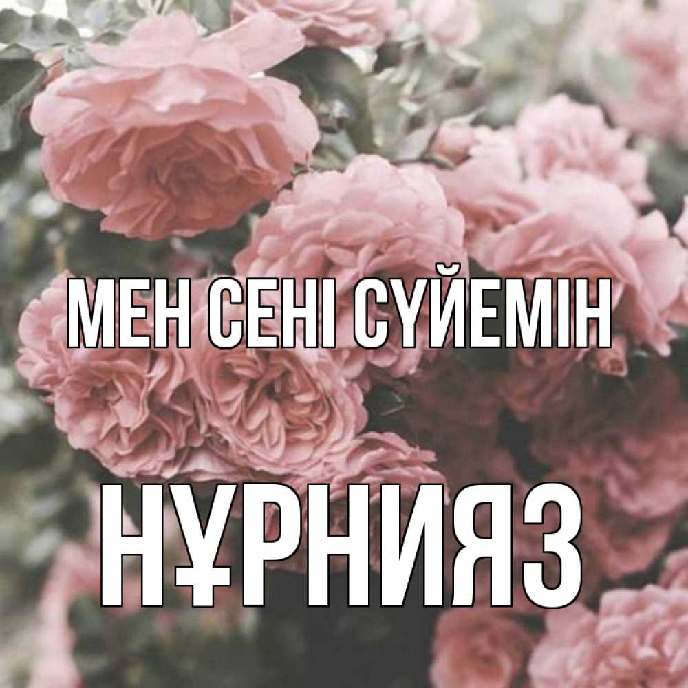Күн сайын ашық хат с именем, НҰРНИЯЗ Мен сені сүйемін розы 3 Онлайн тегін жүктеп алу тілектері бар керемет карта 