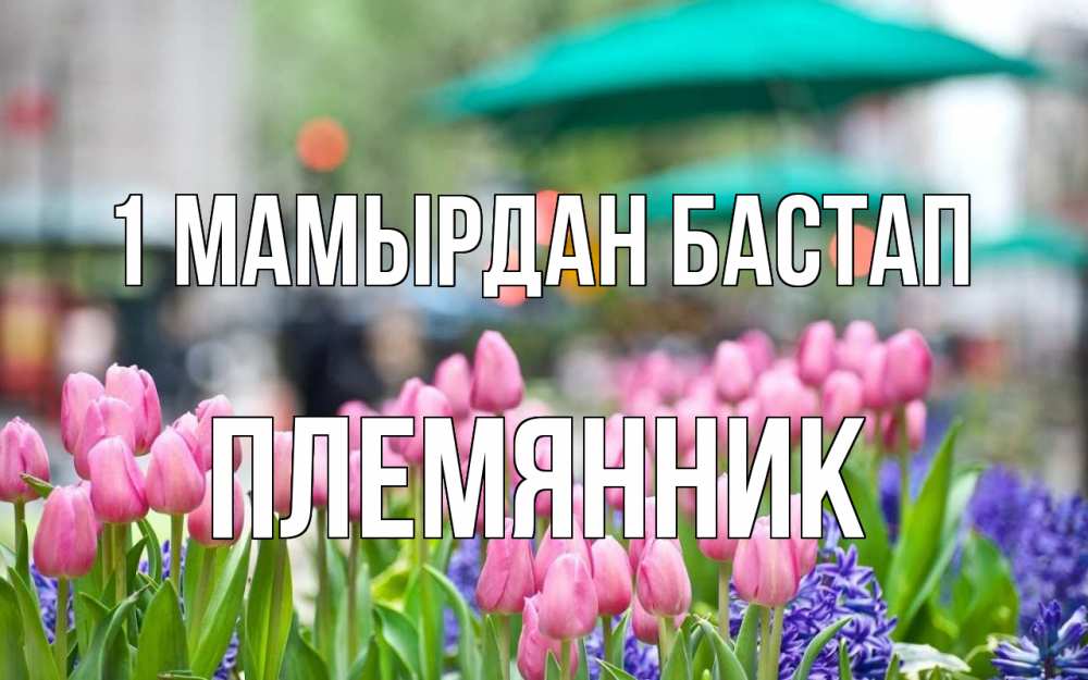 Күн сайын ашық хат с именем, Племянник 1 мамырдан бастап С 1 мая Онлайн тегін жүктеп алу тілектері бар керемет карта 