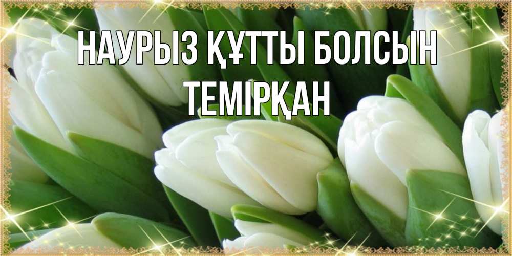 Күн сайын ашық хат с именем, ТЕМІРҚАН Наурыз құтты болсын поздравляем с наурызом Онлайн тегін жүктеп алу тілектері бар керемет карта 