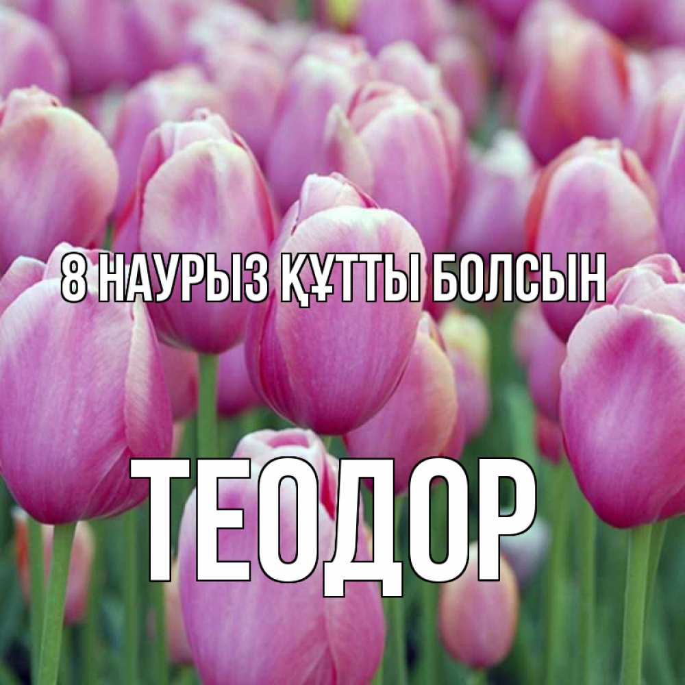 Күн сайын ашық хат с именем, Теодор 8 наурыз құтты болсын на международный женский день 3 Онлайн тегін жүктеп алу тілектері бар керемет карта 