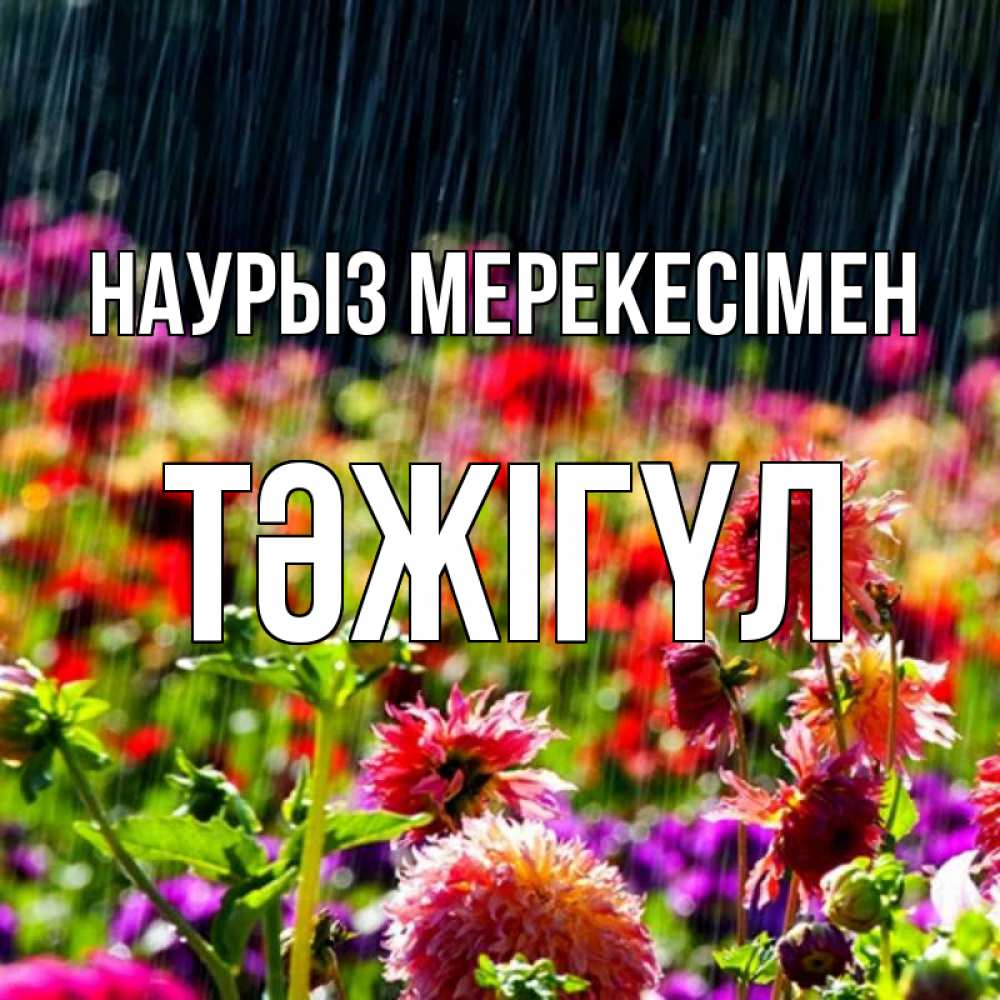 Күн сайын ашық хат с именем, ТӘЖІГҮЛ Наурыз мерекесімен цветы под дождиком к международному женскому дню Онлайн тегін жүктеп алу тілектері бар керемет карта 