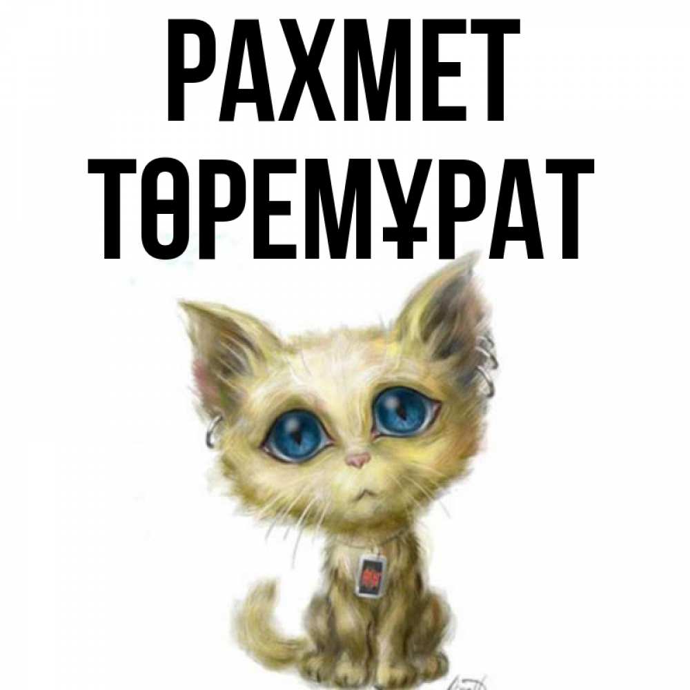 Күн сайын ашық хат с именем, Төремұрат рахмет рисованный кот благодарит вас Онлайн тегін жүктеп алу тілектері бар керемет карта 