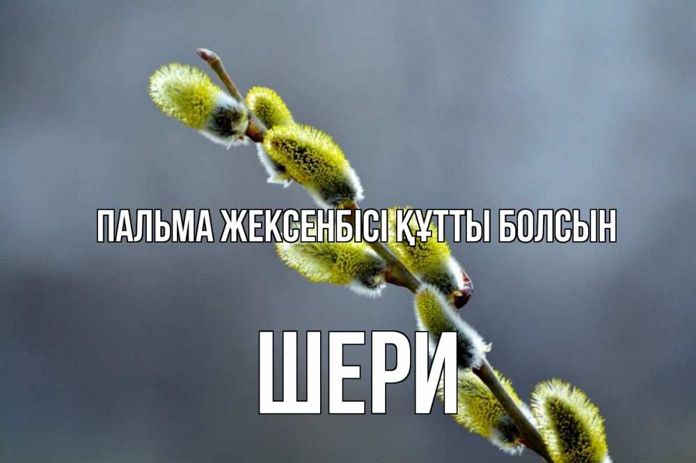 Күн сайын ашық хат с именем, ШЕРИ Пальма жексенбісі құтты болсын верба Онлайн тегін жүктеп алу тілектері бар керемет карта 