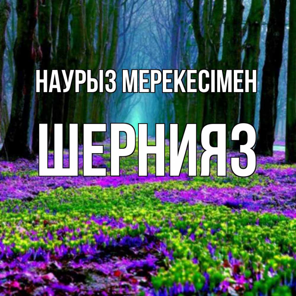 Күн сайын ашық хат с именем, ШЕРНИЯЗ Наурыз мерекесімен фиолетовые цветы в лесу 1 Онлайн тегін жүктеп алу тілектері бар керемет карта 