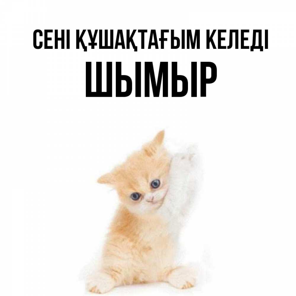 Күн сайын ашық хат с именем, ШЫМЫР сені құшақтағым келеді я хочу очень скорее обнимаешек Онлайн тегін жүктеп алу тілектері бар керемет карта 