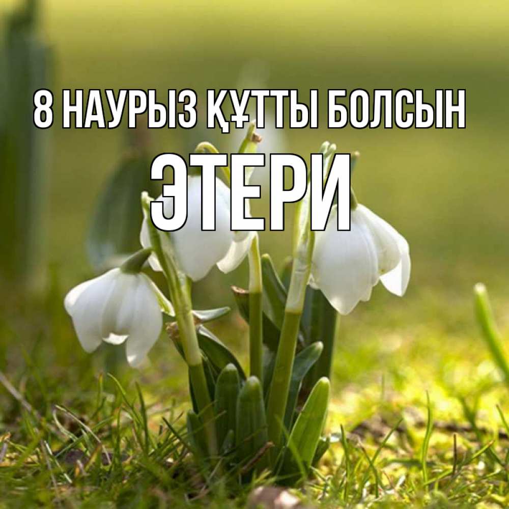 Күн сайын ашық хат с именем, Этери 8 наурыз құтты болсын ранние цветы 2 Онлайн тегін жүктеп алу тілектері бар керемет карта 