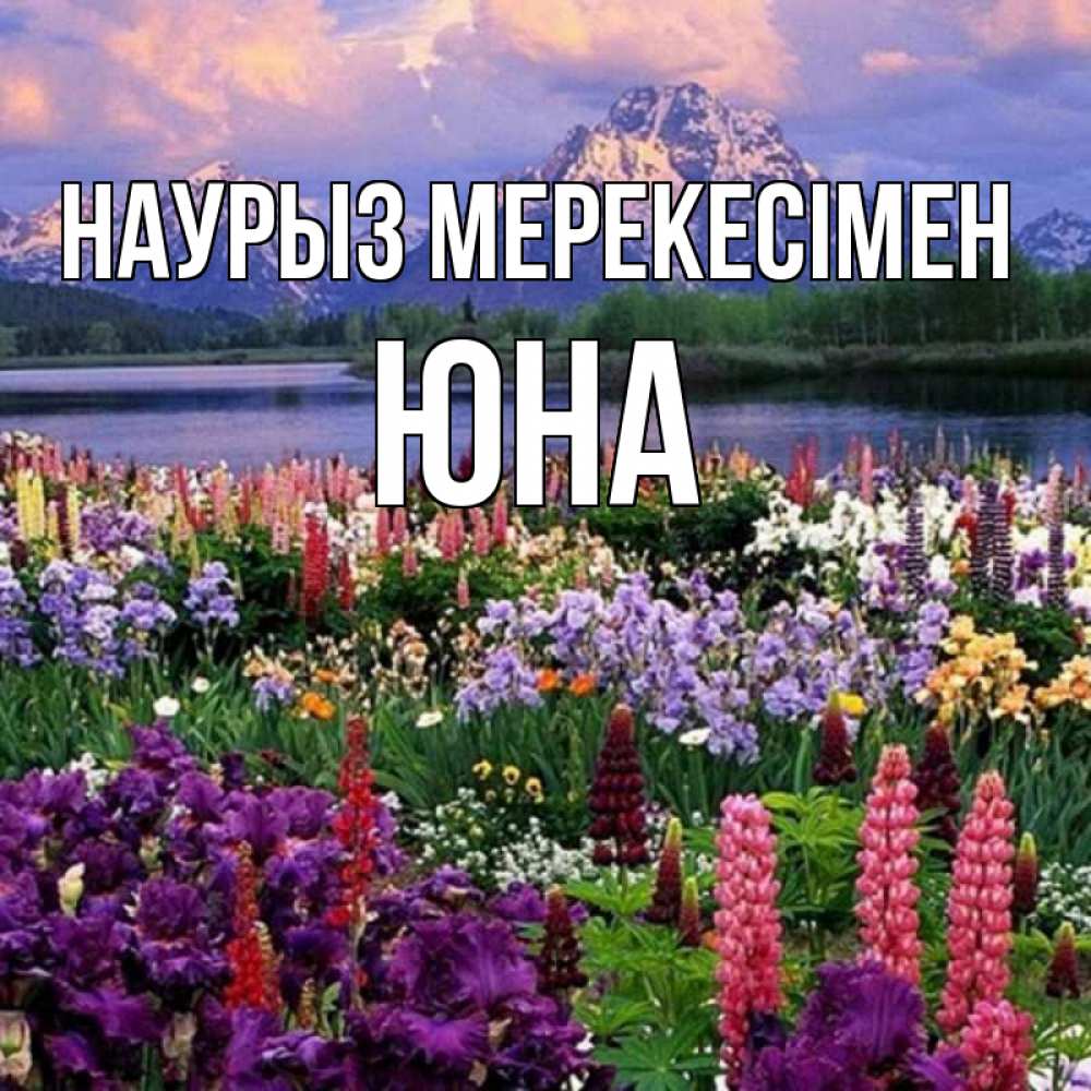 Күн сайын ашық хат с именем, Юна Наурыз мерекесімен праздник весны наурыз Онлайн тегін жүктеп алу тілектері бар керемет карта 