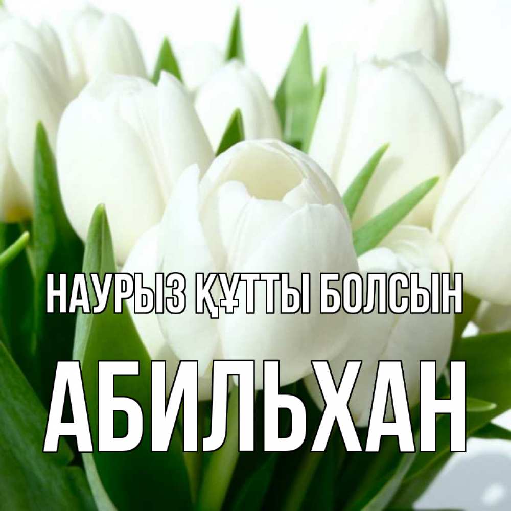 Күн сайын ашық хат с именем, Абильхан Наурыз құтты болсын цветы Онлайн тегін жүктеп алу тілектері бар керемет карта 