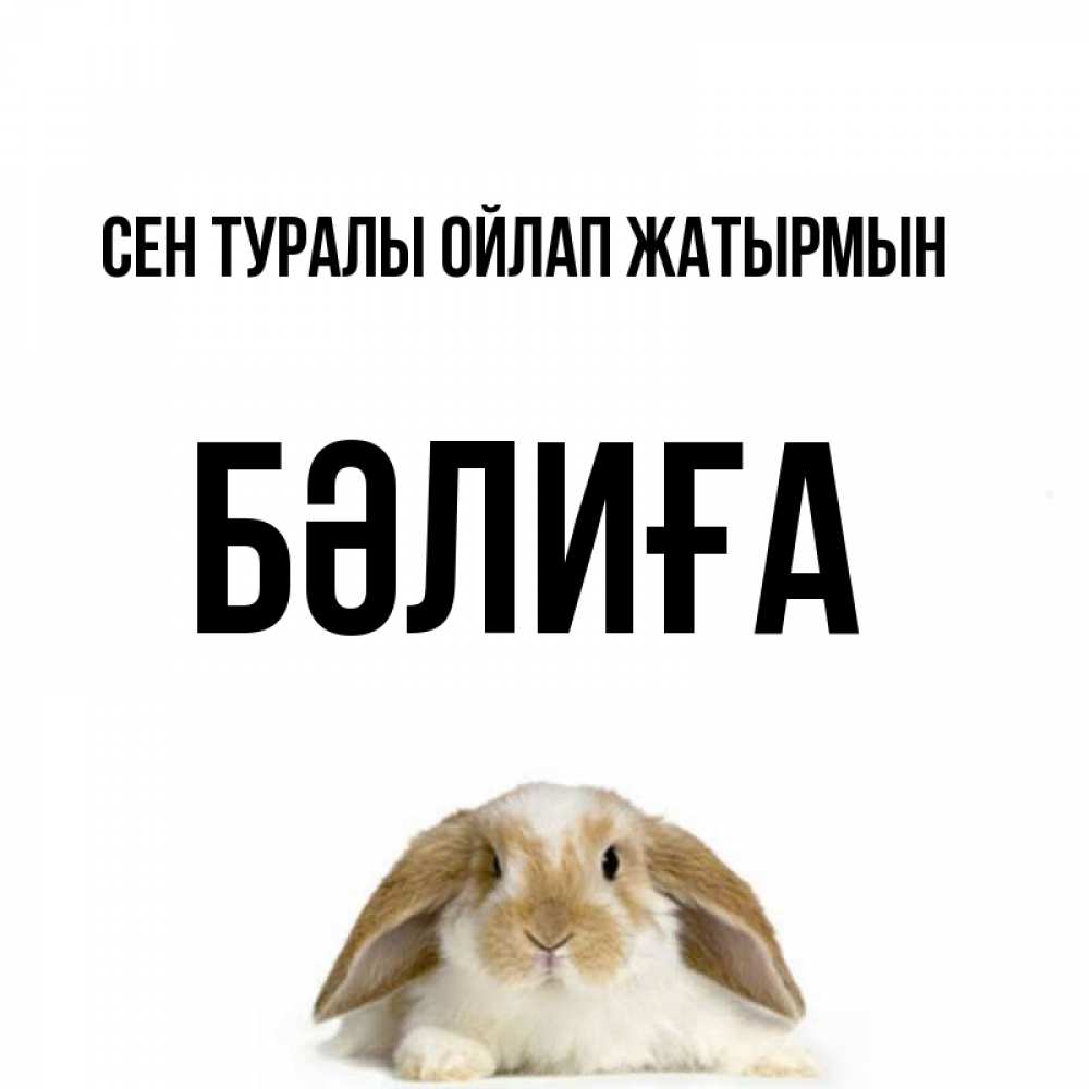 Күн сайын ашық хат с именем, БӘЛИҒА Сен туралы ойлап жатырмын подписать своими руками онлайн Онлайн тегін жүктеп алу тілектері бар керемет карта 