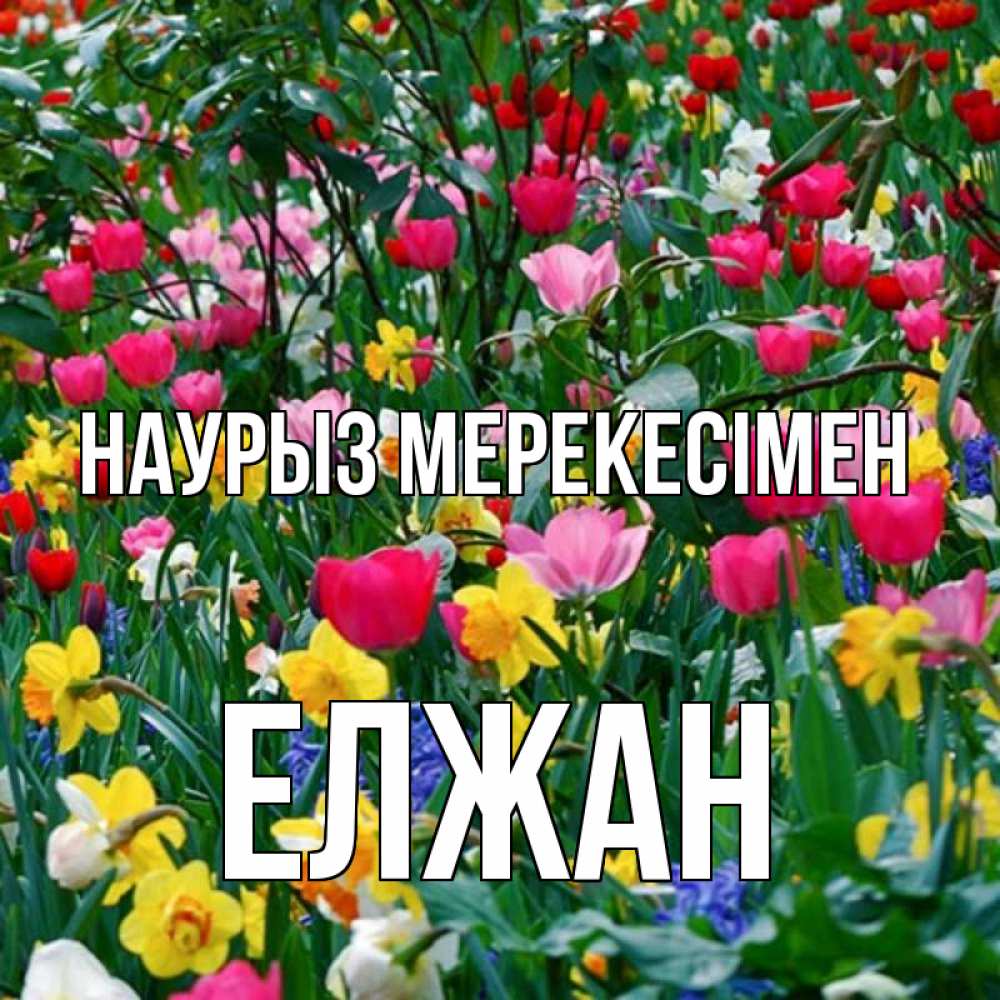 Күн сайын ашық хат с именем, Елжан Наурыз мерекесімен с наурызом праздником весны поздравления для женщины Онлайн тегін жүктеп алу тілектері бар керемет карта 