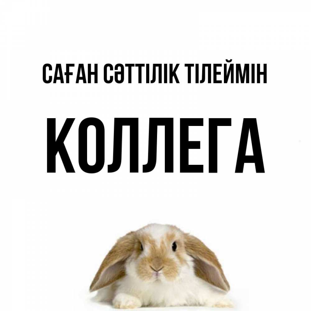 Күн сайын ашық хат с именем, Коллега Саған сәттілік тілеймін открытки с произвольным текстом который можно вставить в открытку и создать ее самостоятельно бесплатно онлайн Онлайн тегін жүктеп алу тілектері бар керемет карта 