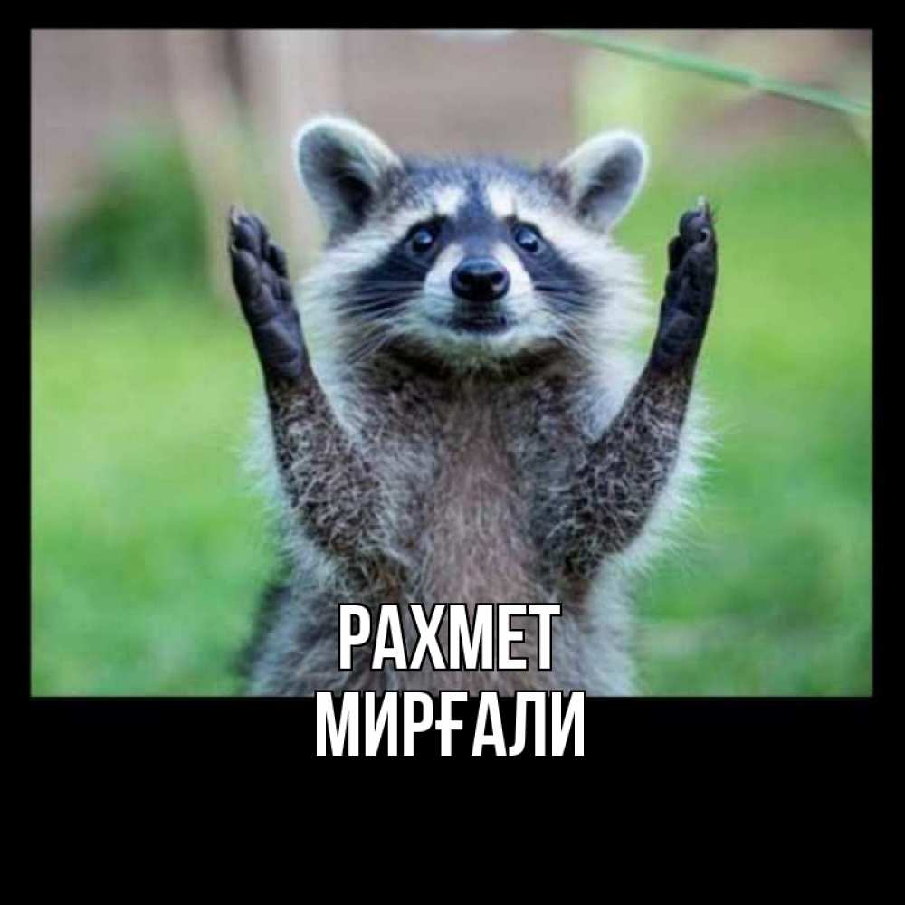 Күн сайын ашық хат с именем, МИРҒАЛИ рахмет милые животные Онлайн тегін жүктеп алу тілектері бар керемет карта 