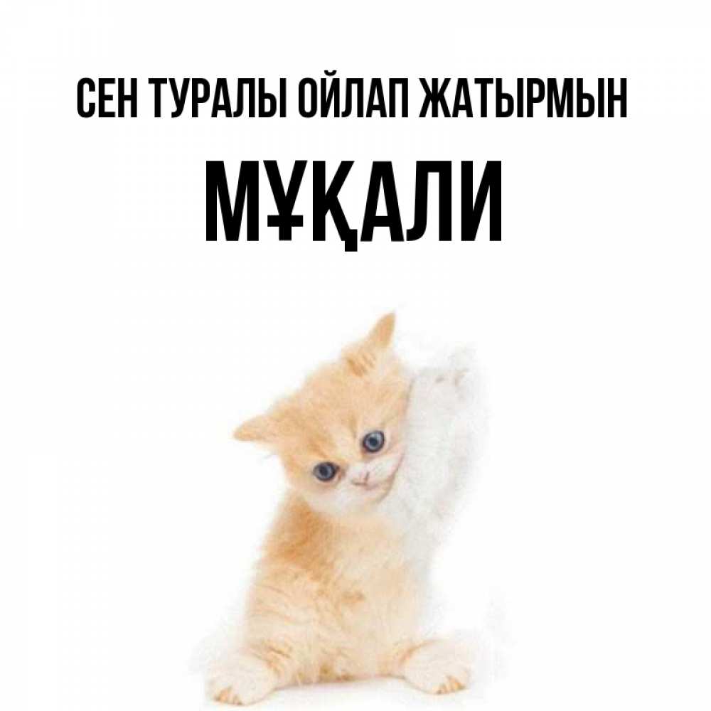 Күн сайын ашық хат с именем, МҰҚАЛИ Сен туралы ойлап жатырмын зверушки и милота Онлайн тегін жүктеп алу тілектері бар керемет карта 