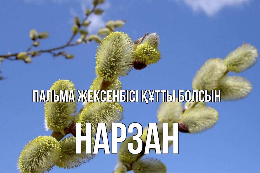 Күн сайын ашық хат с именем, НАРЗАН Пальма жексенбісі құтты болсын верба Онлайн тегін жүктеп алу тілектері бар керемет карта 