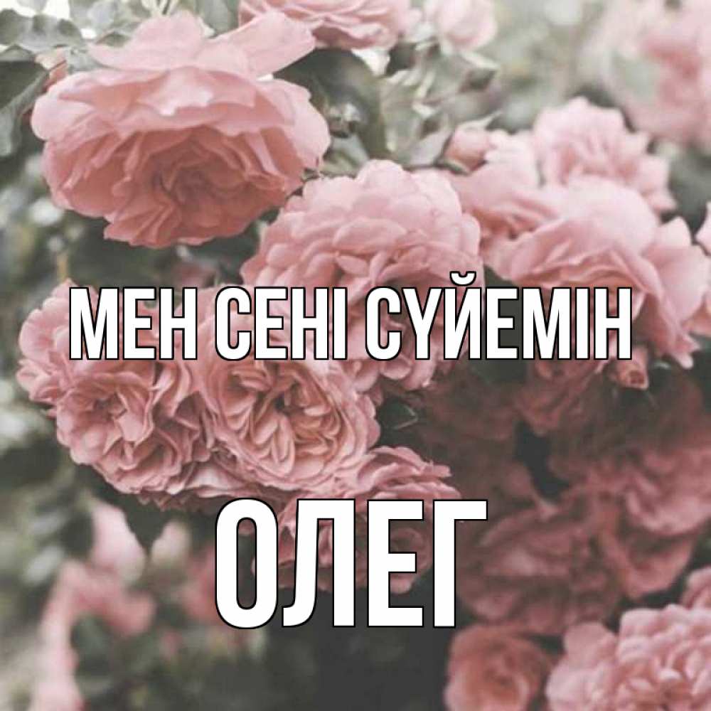 Күн сайын ашық хат с именем, Олег Мен сені сүйемін розы 3 Онлайн тегін жүктеп алу тілектері бар керемет карта 