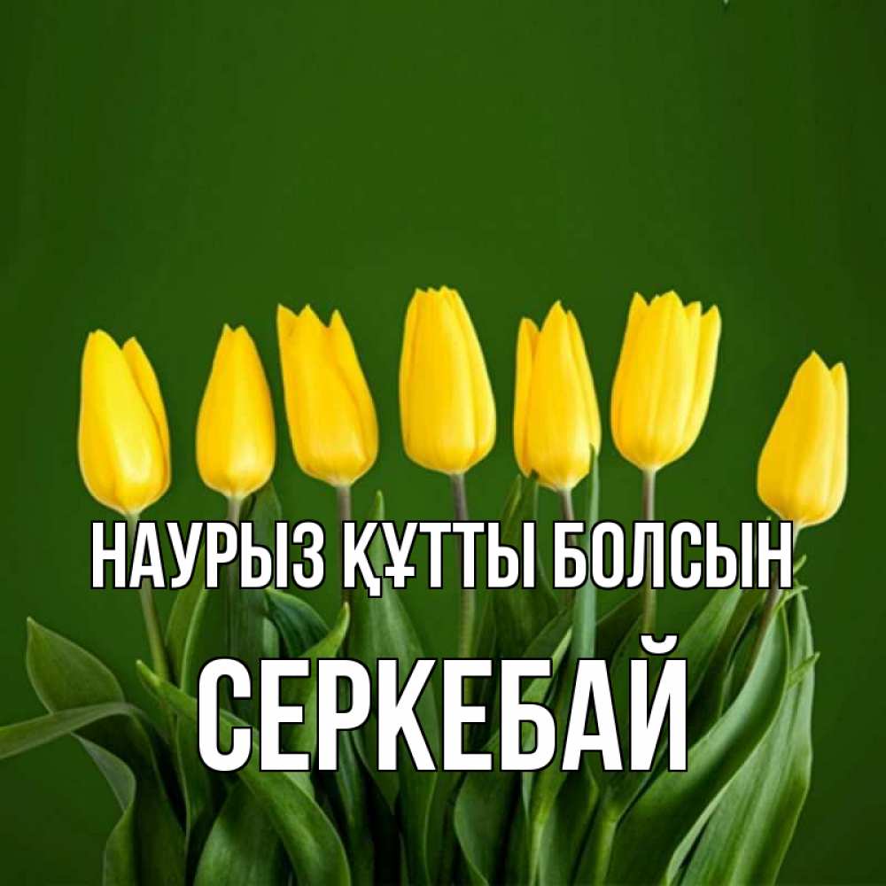 Күн сайын ашық хат с именем, СЕРКЕБАЙ Наурыз құтты болсын желтого цвета 3 Онлайн тегін жүктеп алу тілектері бар керемет карта 