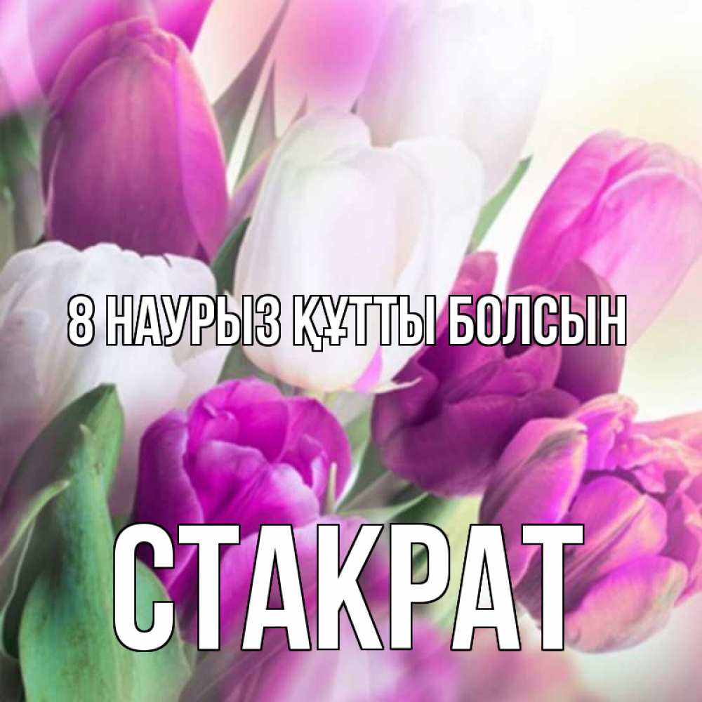 Күн сайын ашық хат с именем, Стакрат 8 наурыз құтты болсын весна 1 Онлайн тегін жүктеп алу тілектері бар керемет карта 