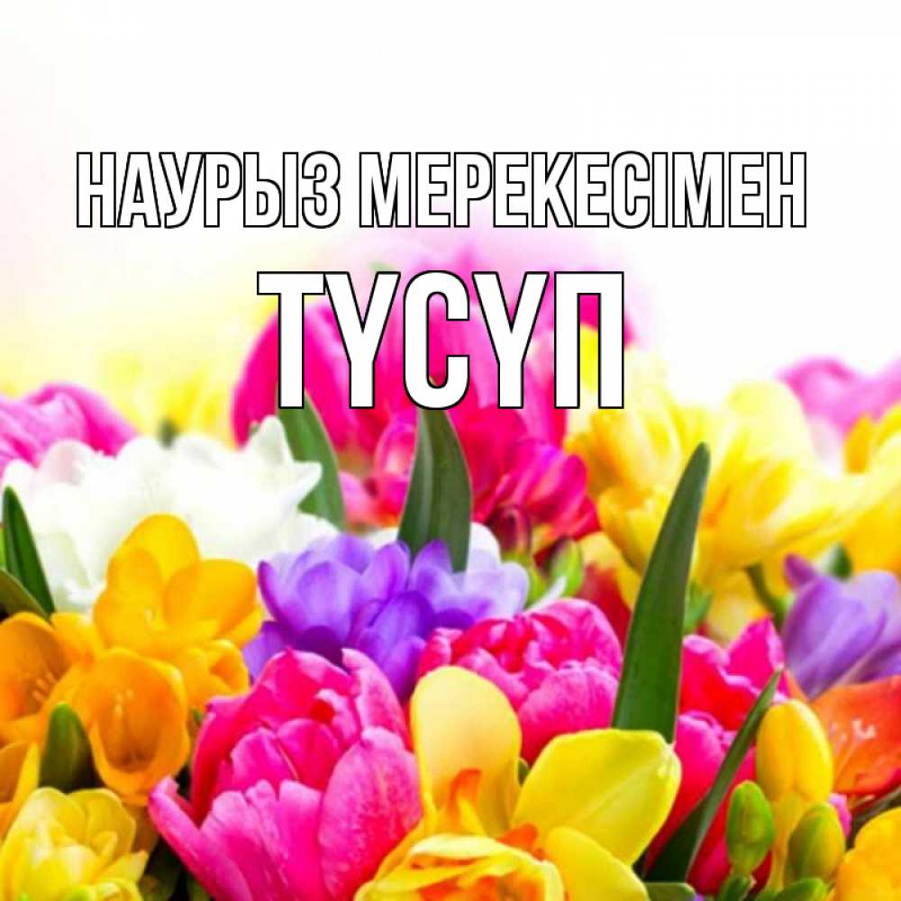 Күн сайын ашық хат с именем, ТҮСҮП Наурыз мерекесімен тюльпаны Онлайн тегін жүктеп алу тілектері бар керемет карта 
