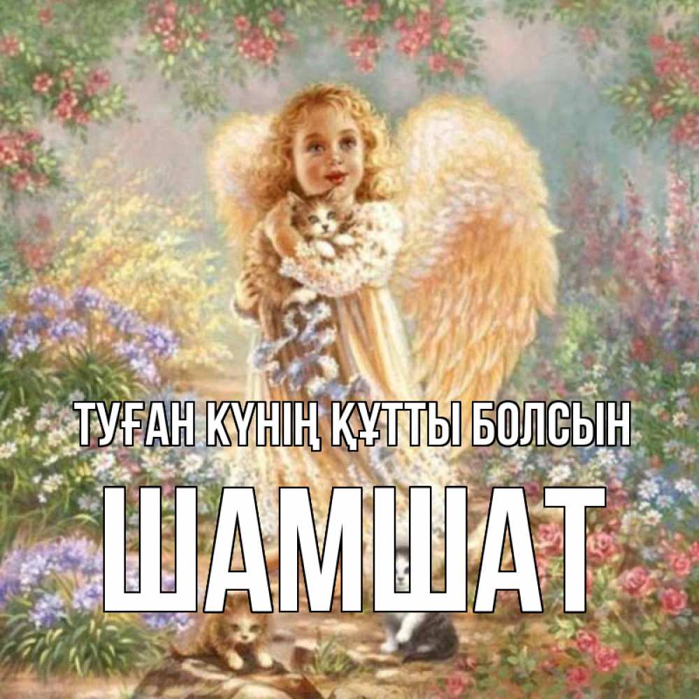 Күн сайын ашық хат с именем, ШАМШАТ Туған күнің құтты болсын держит котенка Онлайн тегін жүктеп алу тілектері бар керемет карта 